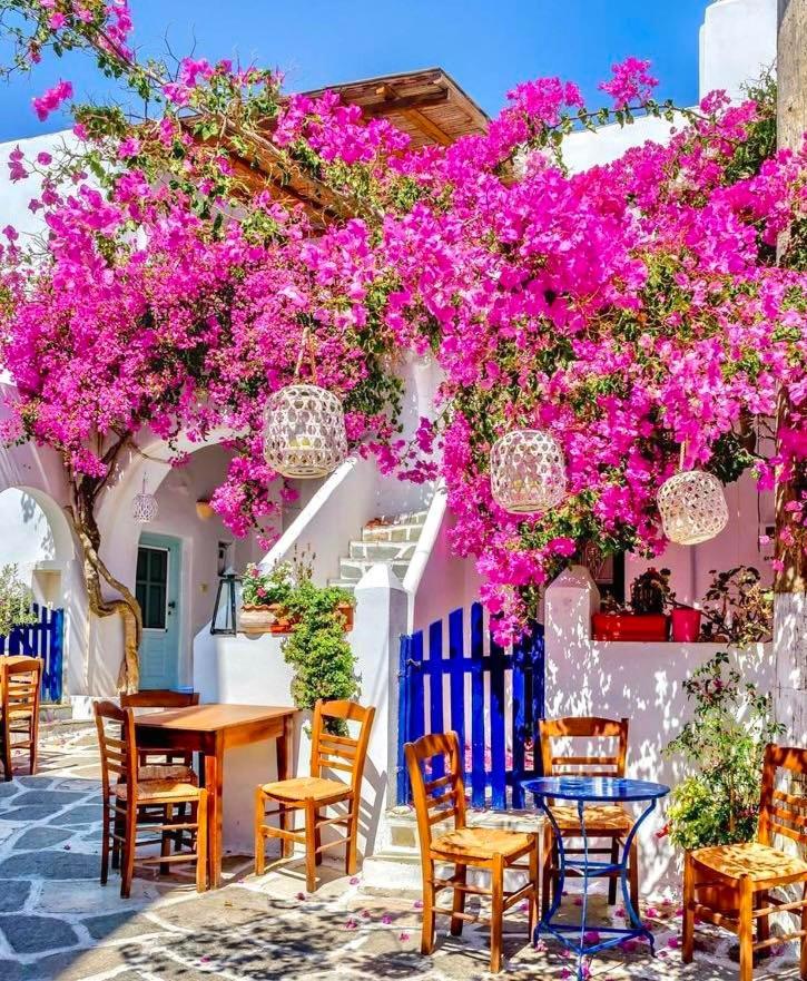 Nostos II Daire Dhragoulas Dış mekan fotoğraf